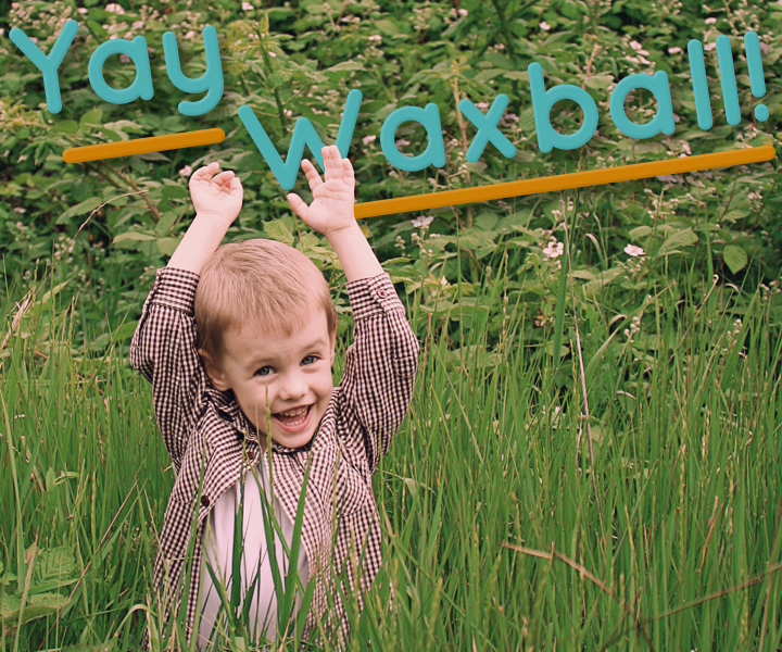 waxball